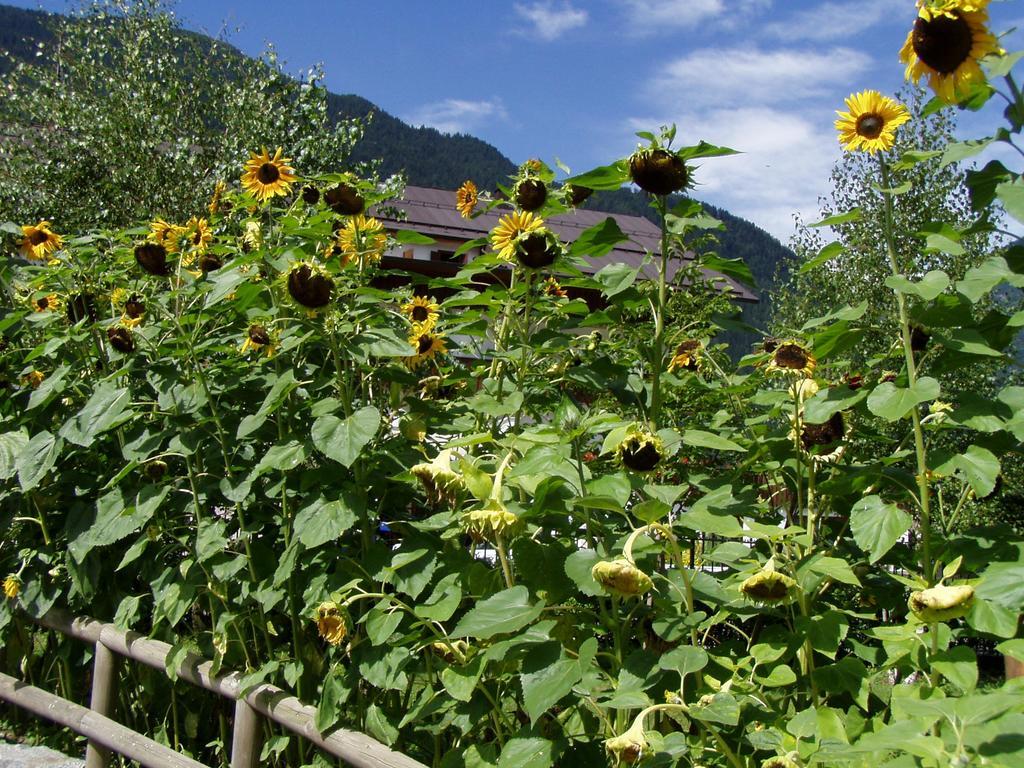 Hotel La Locanda Pinzolo Buitenkant foto